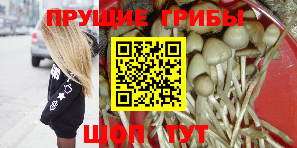 Звенигород  Галлюциногенные грибы Psilocybine cubensis  Галлюциногенные грибы GOLDEN TEACHER  Вход с VPN 